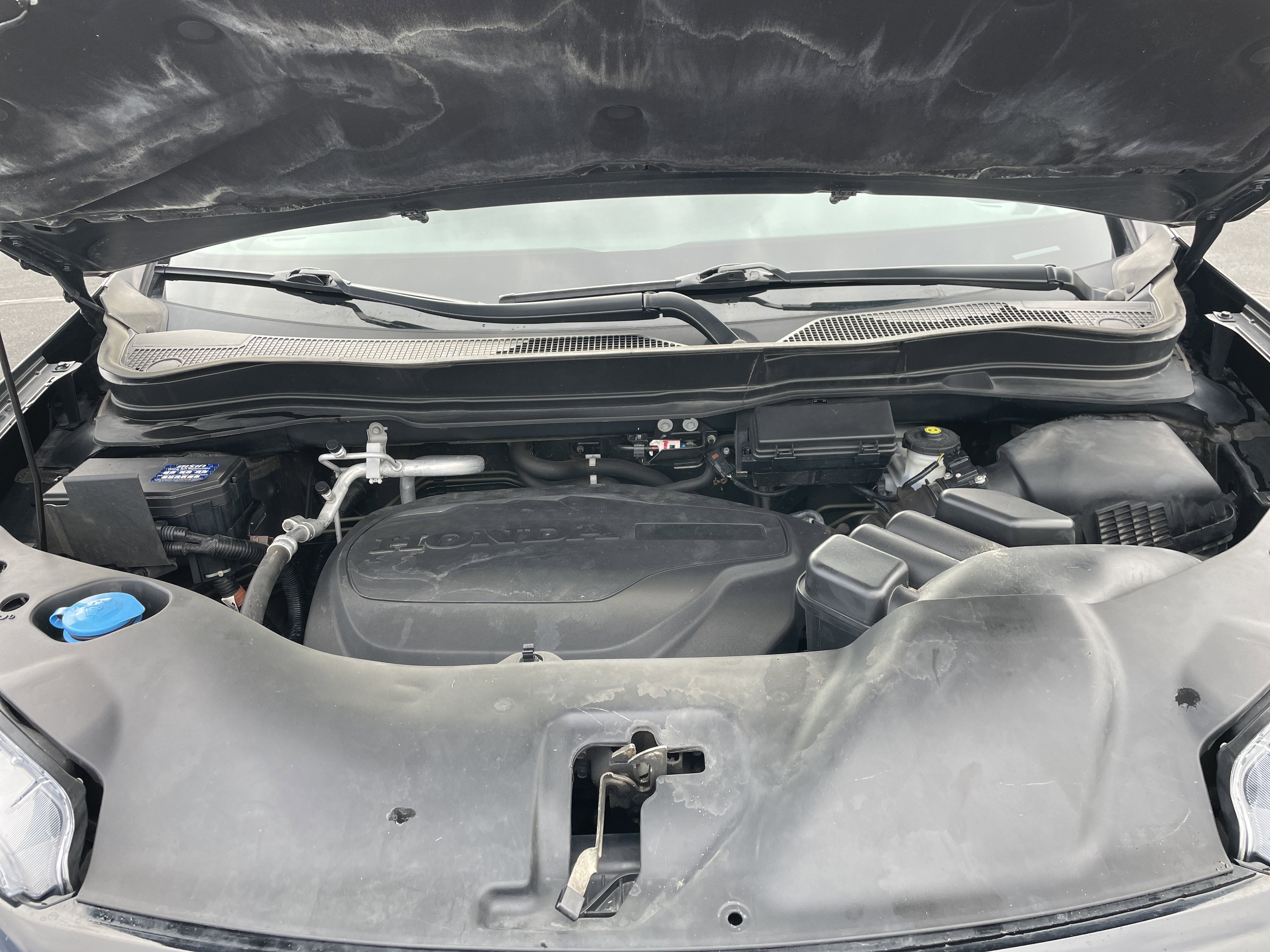 2021 Honda Pilot Special Edition